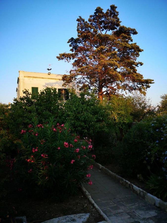 B&B Villa Maria Джовинацо Екстериор снимка